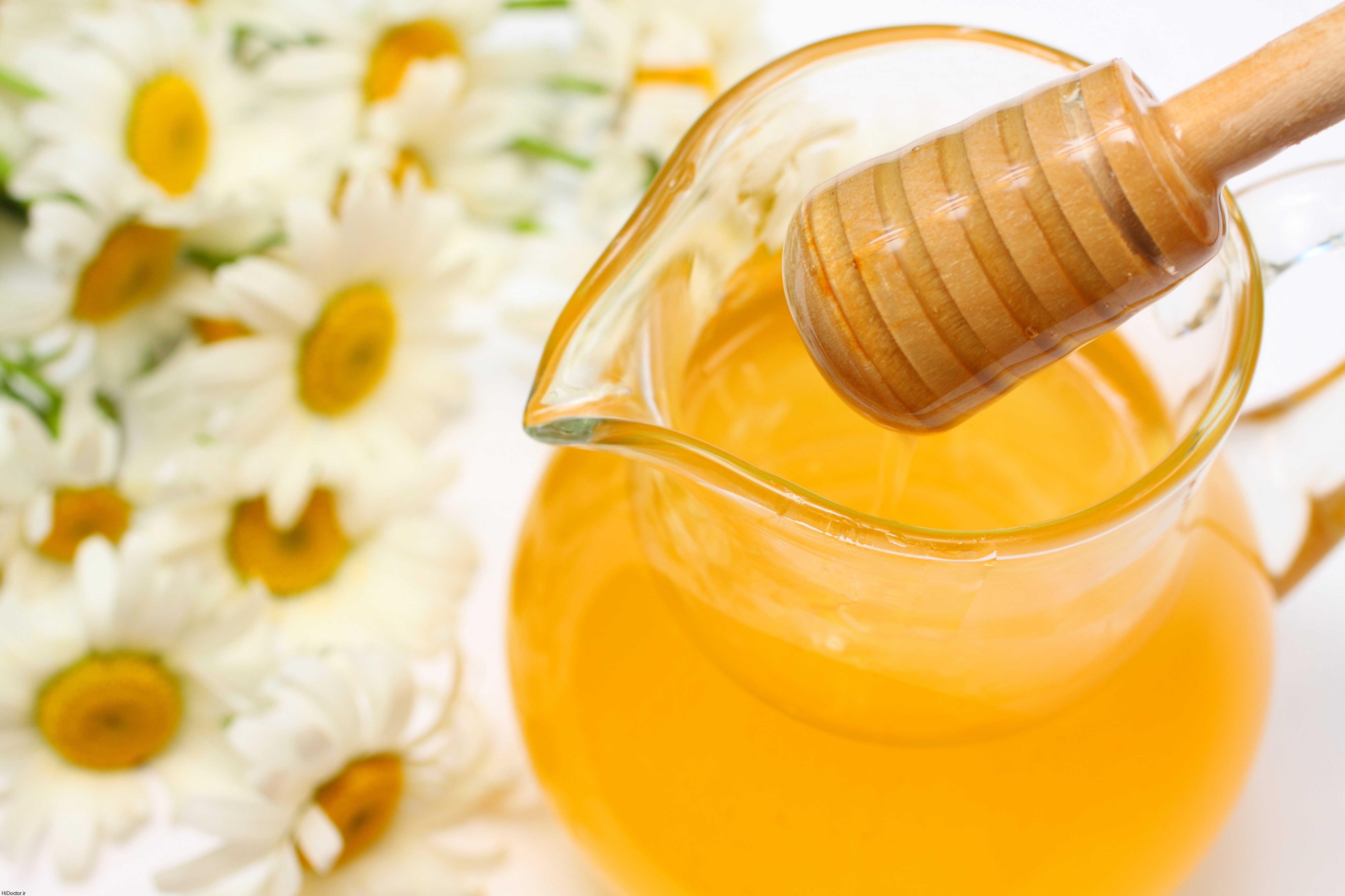 تاریخچه گیاهان دارویی بابونه و طب سنتی