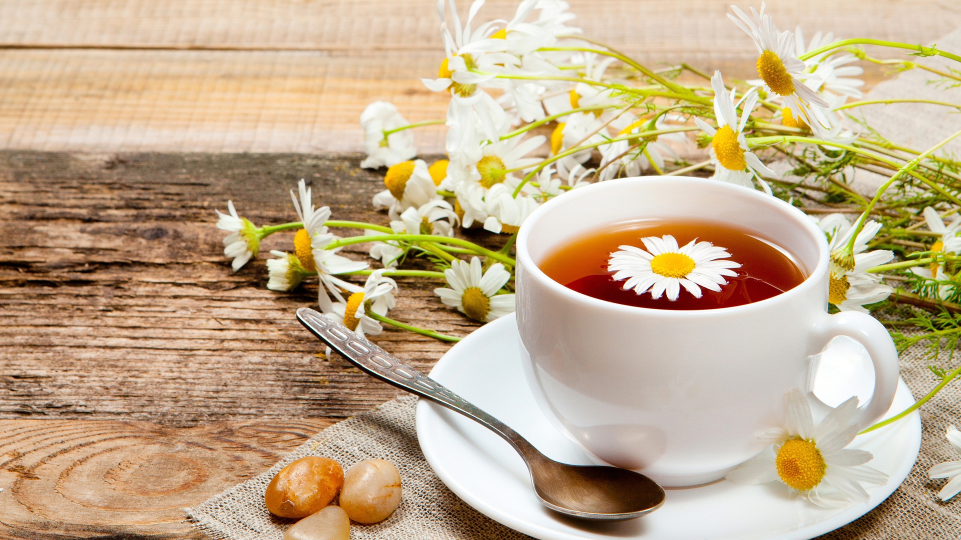 کاربرد اسانس گیاهان سنتی بابونه 
