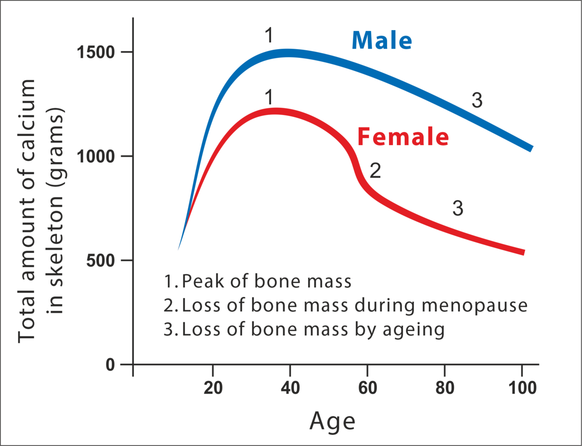 K2D3-Chart-Osteoporosis-EN.png