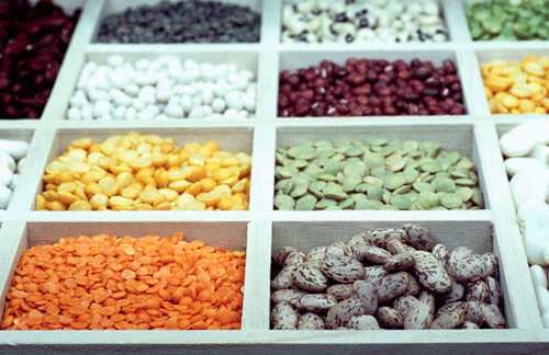 beans00554.gif