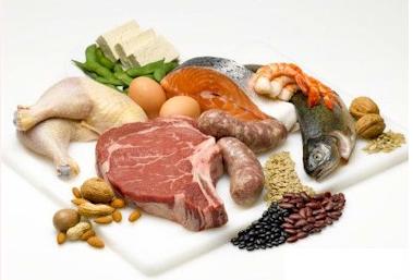 proteinFood.jpg