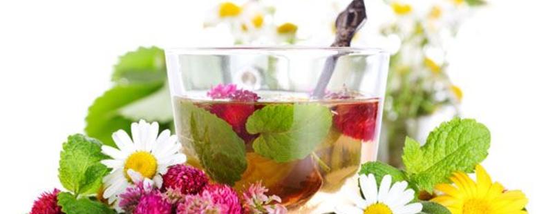 19 نوع  گیاه مقوی اعصاب 