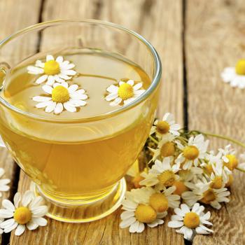 فواید گیاهان دارویی مانند بابونه