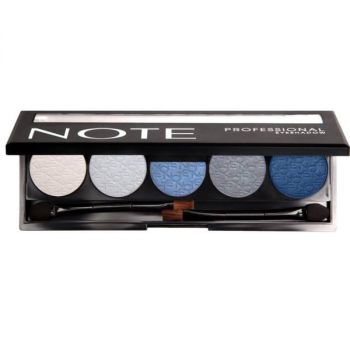 سایه چشم نوت سری Professional Palette شماره 101