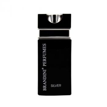 عطر جیبی مردانه Silver برندینی 25 میلی لیتر