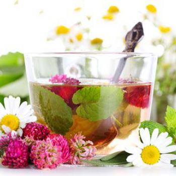 19 نوع  گیاه مقوی اعصاب 