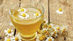 فواید گیاهان دارویی مانند بابونه