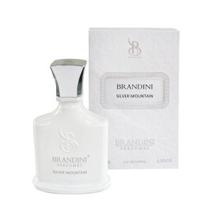 عطر ادکلن زنانه و مردانه Silver Mountain برندینی 33 میل