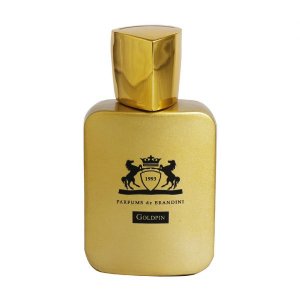 عطر جیبی مردانه Goldpin برندینی 25 میلی لیتر