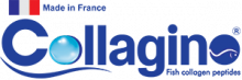 Collagino