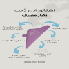 اپلیکاتور ادرار بانوان یک بار مصرف دخت یاسی