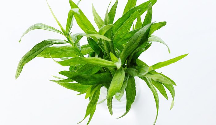 tarragon-700x405.jpeg